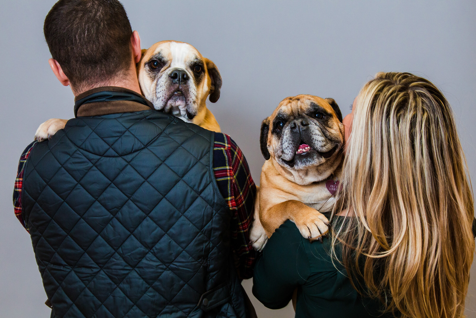 Couple holds their dogs for family portraits in Erie, PA